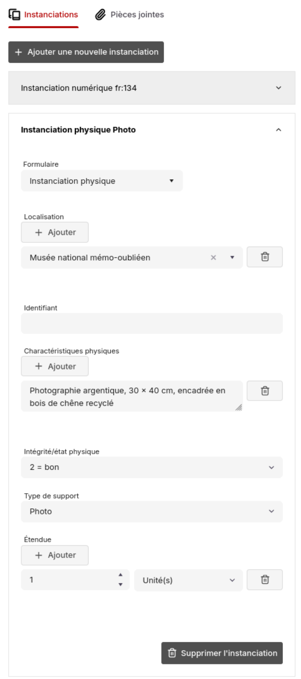 Instance physique